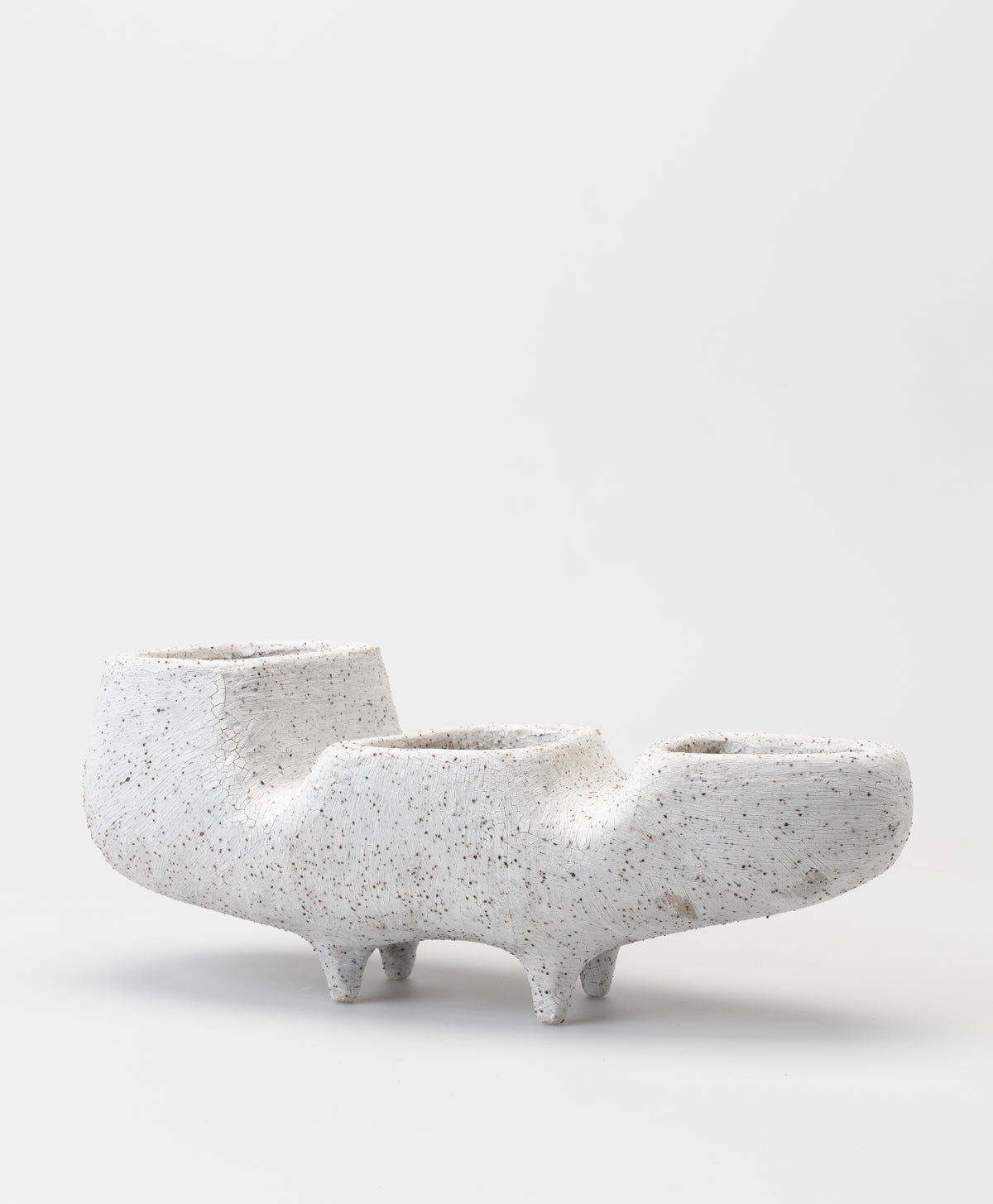 BUZZBY AND FANG - DANG FANGO VARIATION PLANTER - SLIP