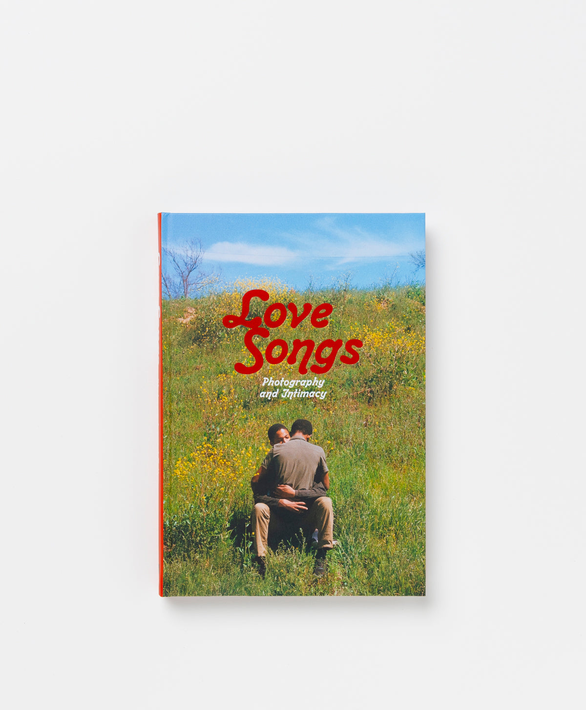 LOVE SONGS: PHOTOGRAPHY AND INTIMACY - SIMON BAKER, DAVID LITTLE, FREDERIQUE DOLIVET, PASCAL HOEEL, LAURIE HURWITZ