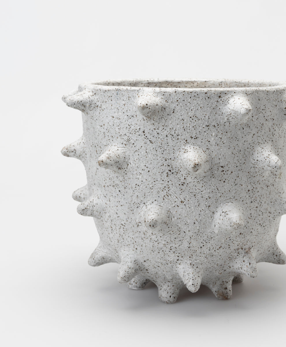 BUZZBY AND FANG - SPIKE POT 3 - SLIP