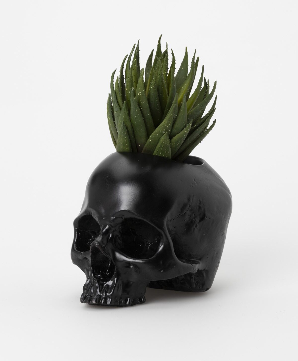 THE BLACKENED TEETH - BLACK JANE DOE SKULL POT