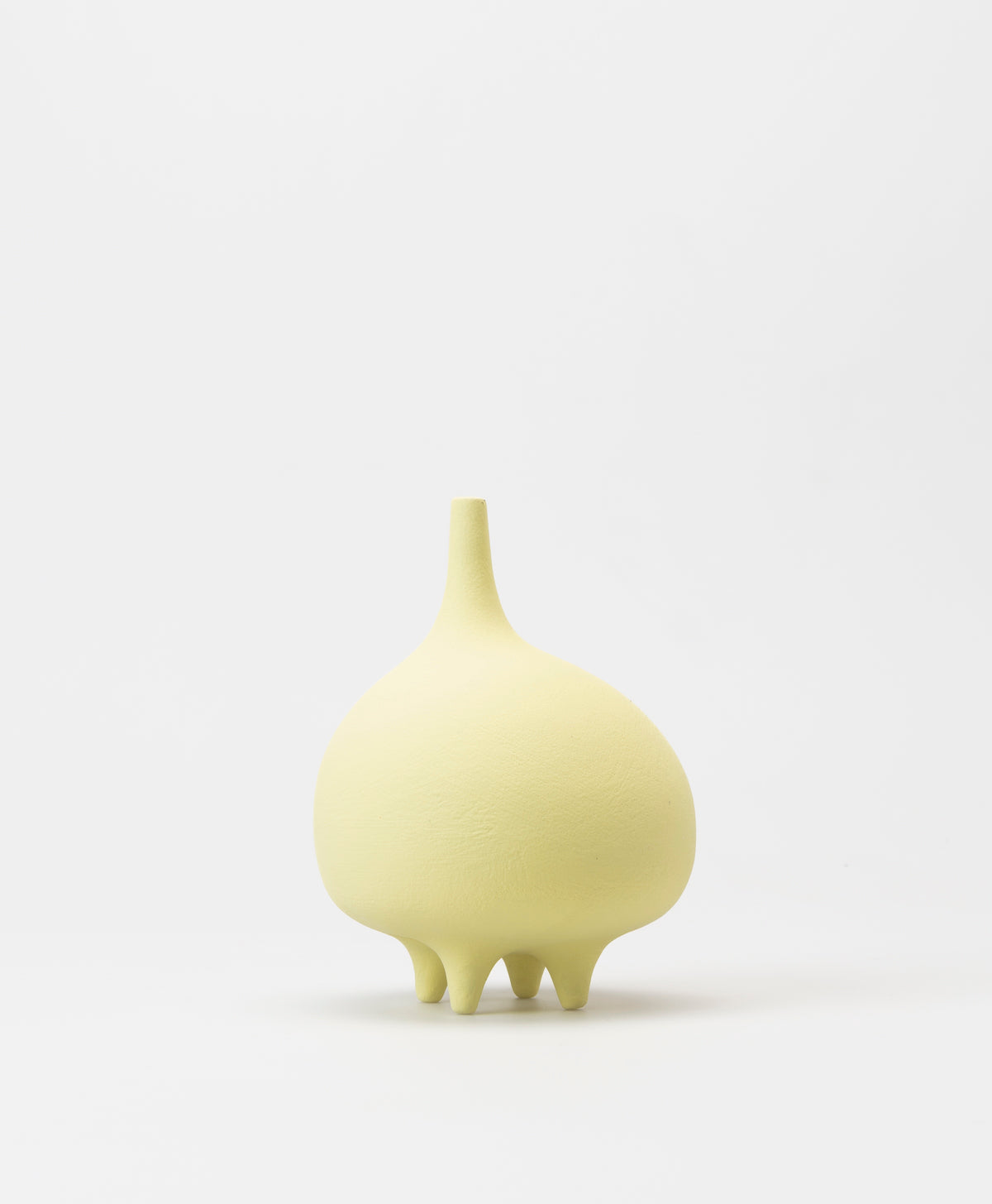 BUZZBY AND FANG - POUCHE VASE - CITRUS