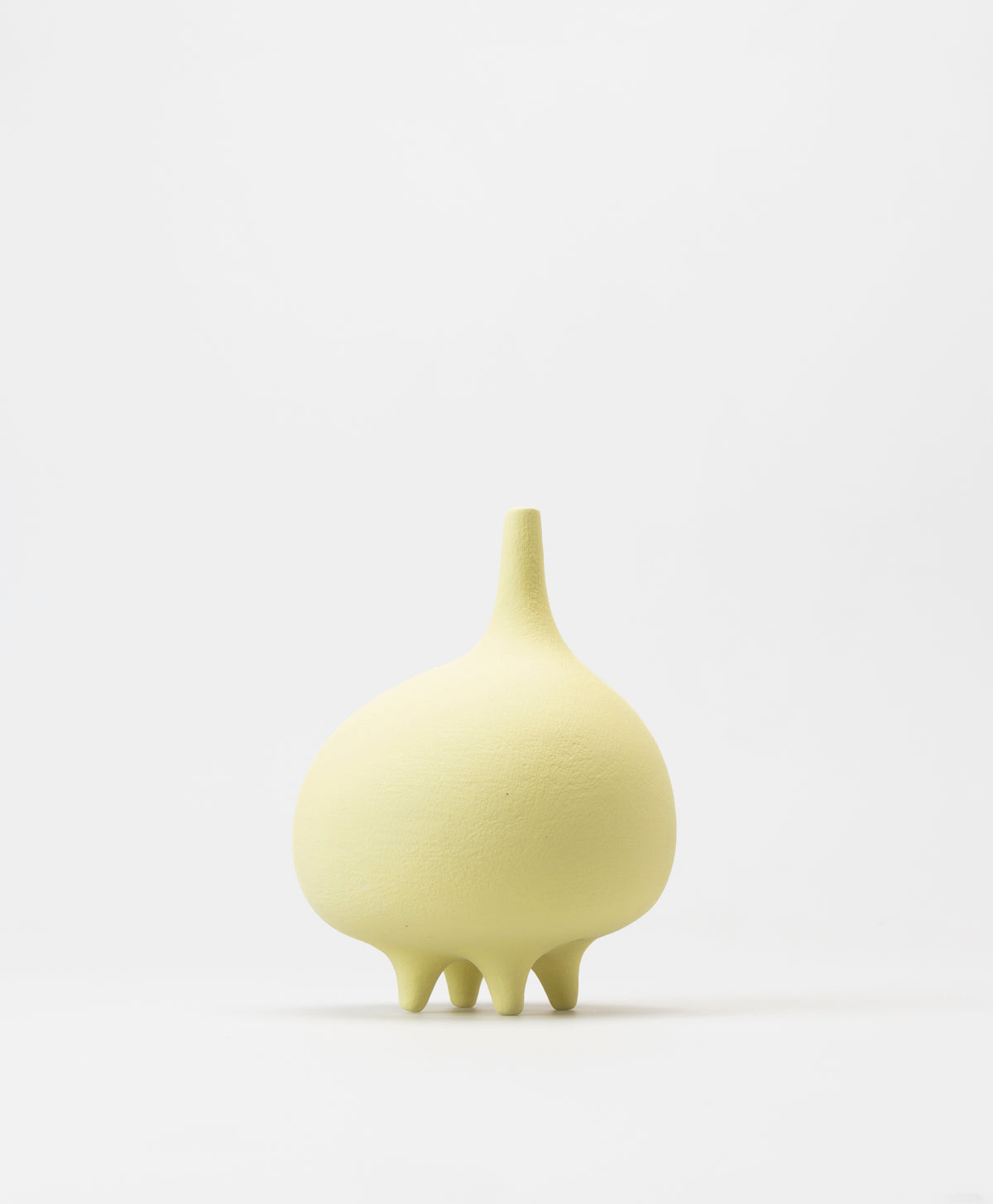 BUZZBY AND FANG - POUCHE VASE - CITRUS