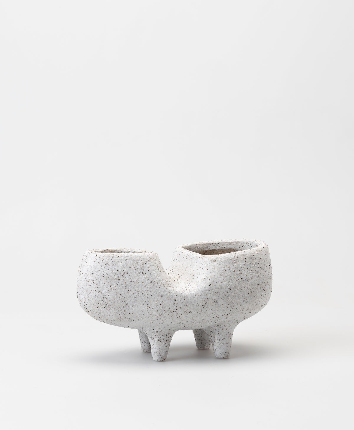 BUZZBY AND FANG - TROPIC OF FANGO PLANTER - SLIP