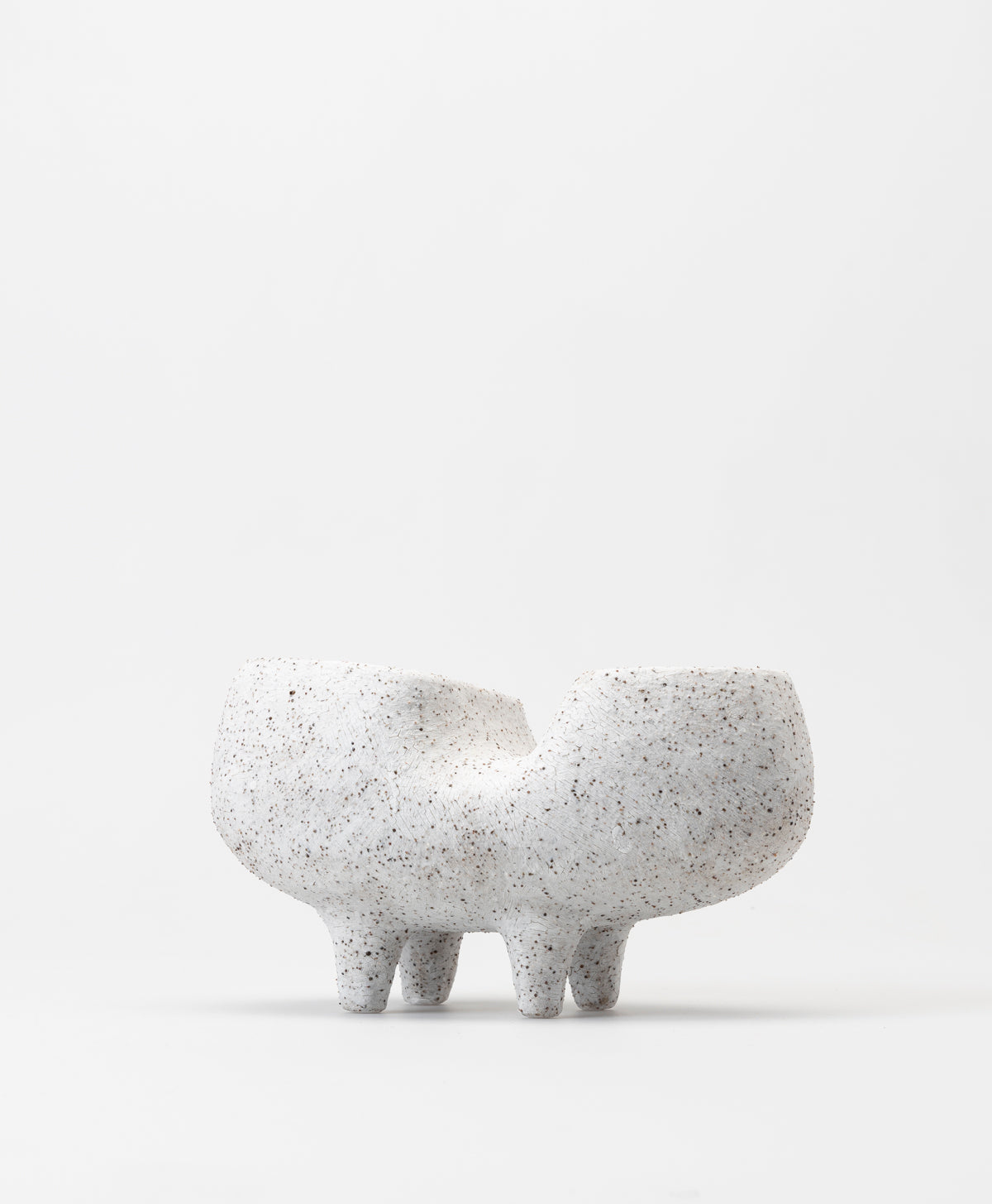 BUZZBY AND FANG - TROPIC OF FANGO PLANTER - SLIP