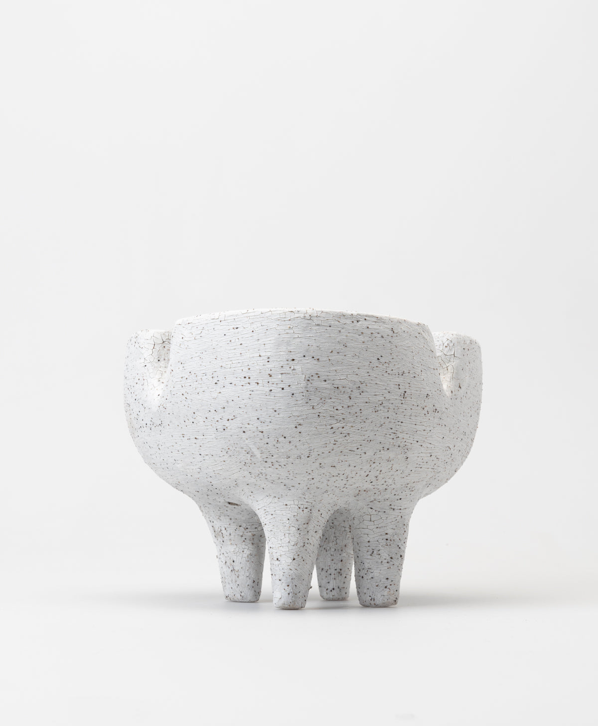BUZZBY AND FANG - SUBLIMINAL PLANTER - SLIP