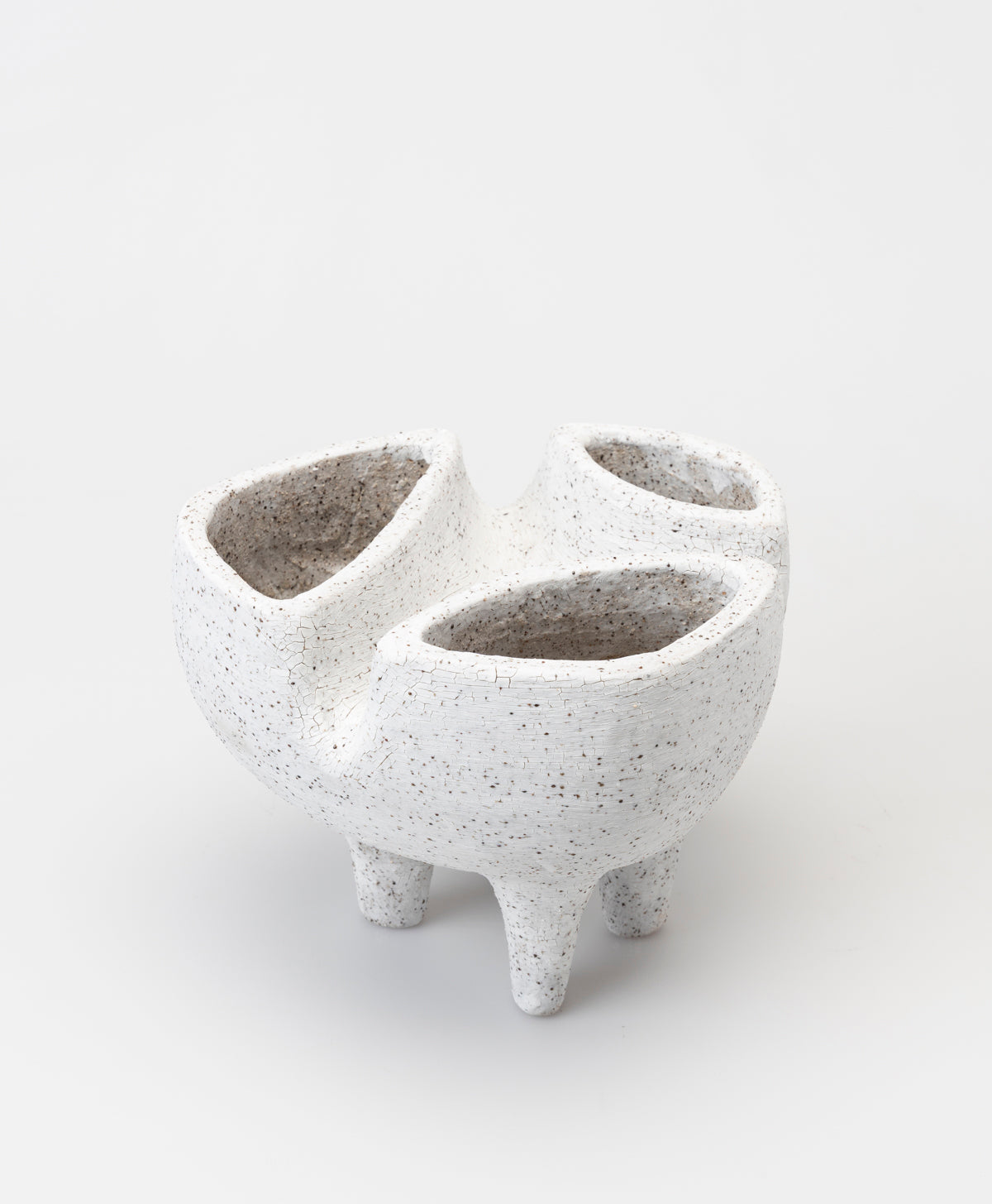 BUZZBY AND FANG - SUBLIMINAL PLANTER - SLIP