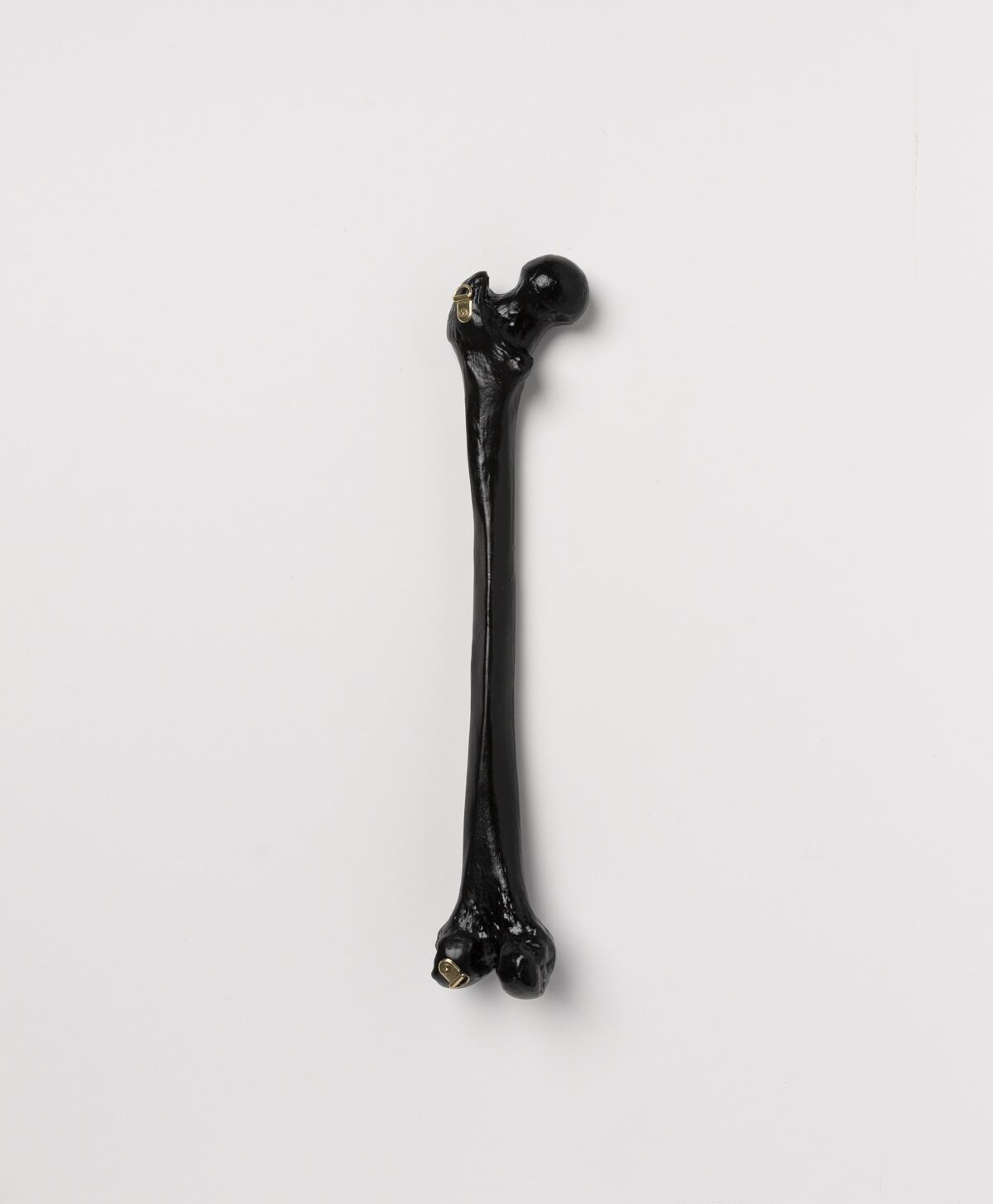 THE BLACKENED TEETH - BLACK FEMUR BONE WALL HANGING