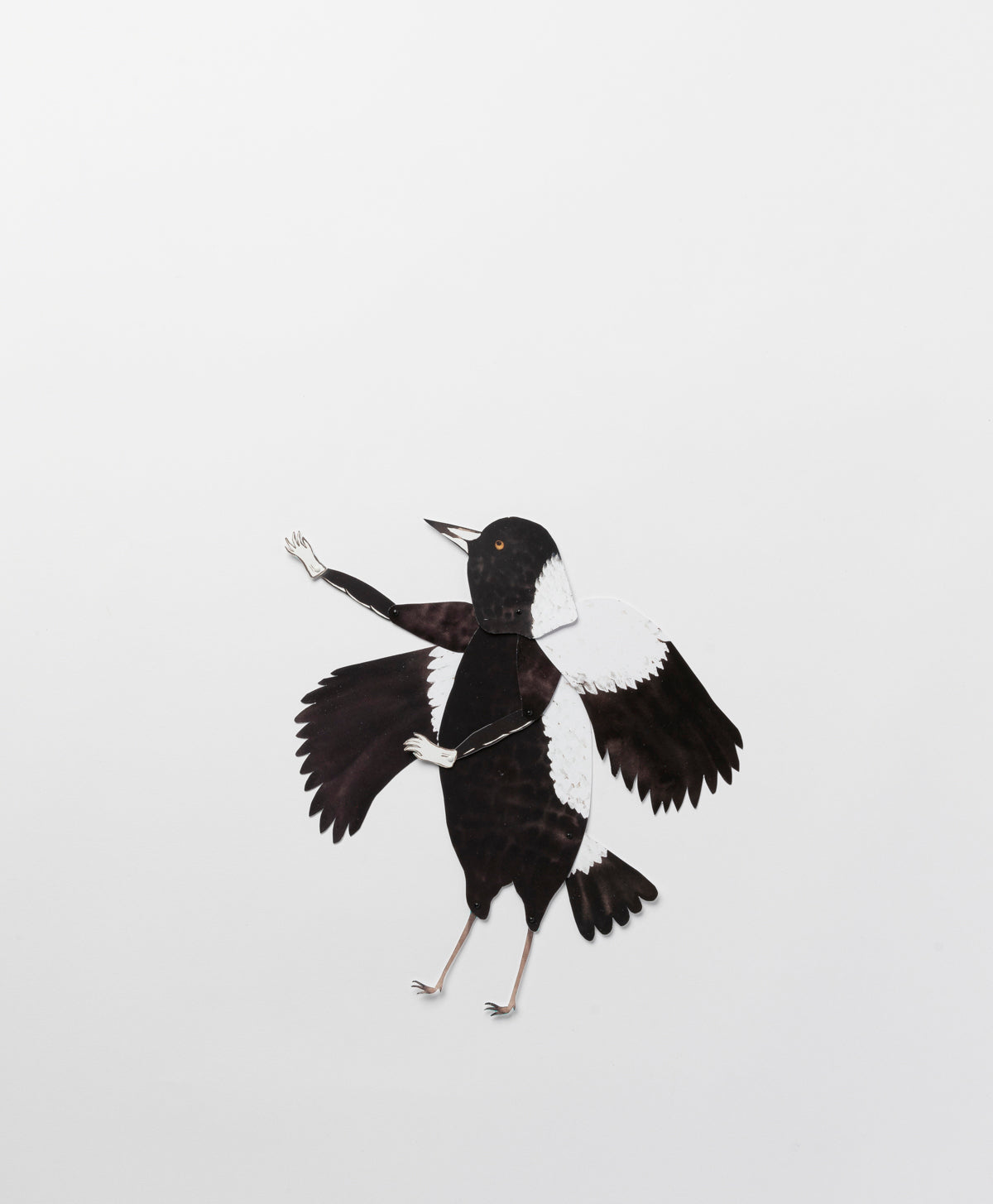 BENCONSERVATO - AUSTRALIAN MAGPIE A4 DIY KIT