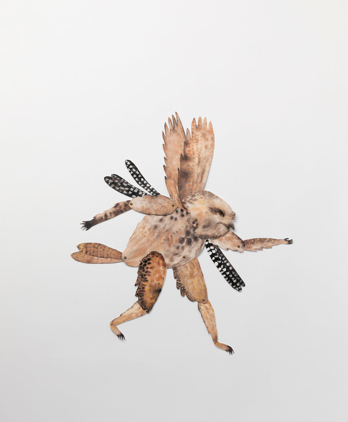 BENCONSERVATO - TAWNY FROGMOUTH A4 DIY KIT