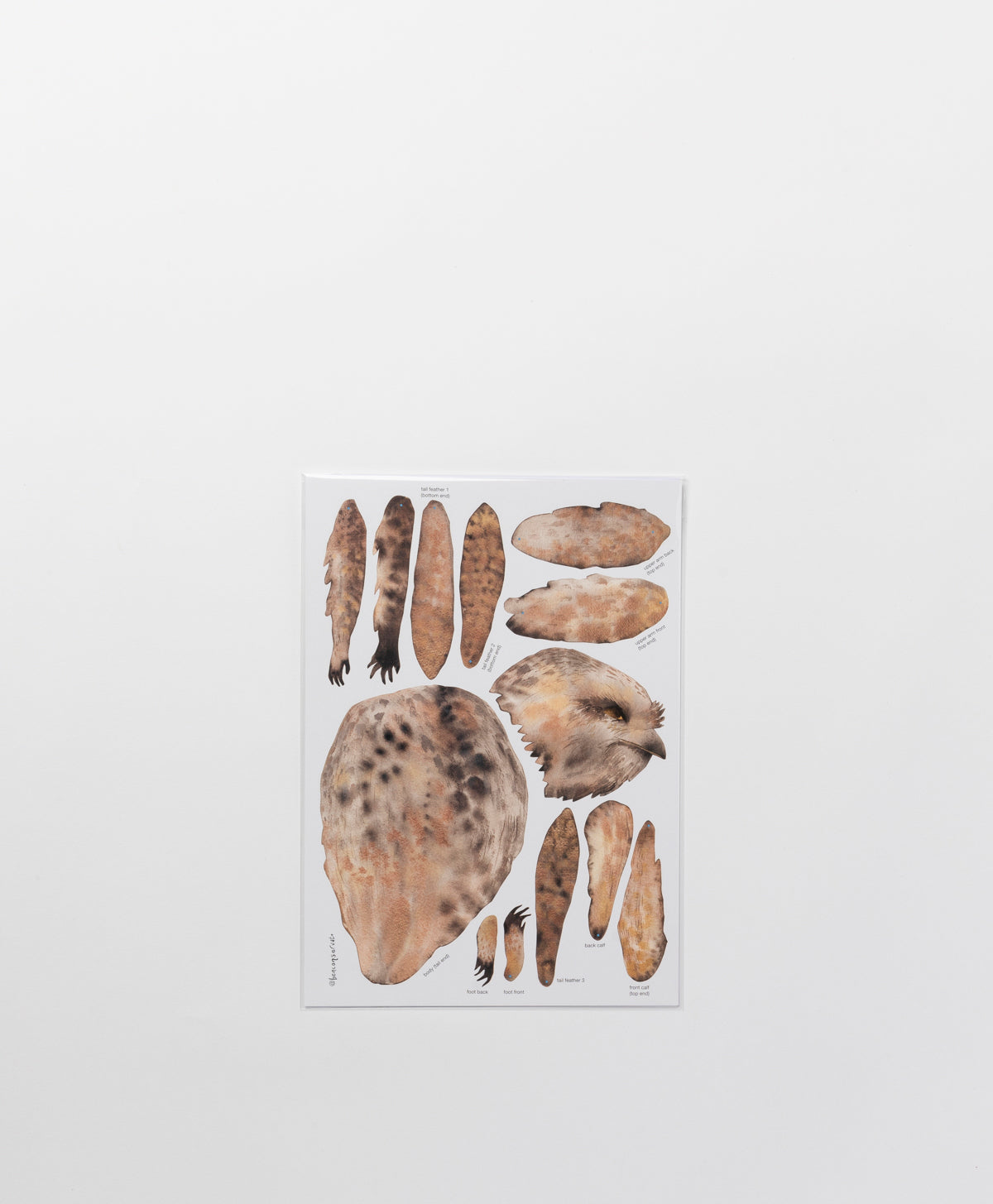BENCONSERVATO - TAWNY FROGMOUTH A4 DIY KIT
