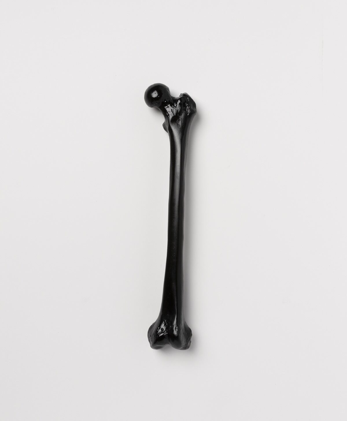 THE BLACKENED TEETH - BLACK FEMUR BONE WALL HANGING