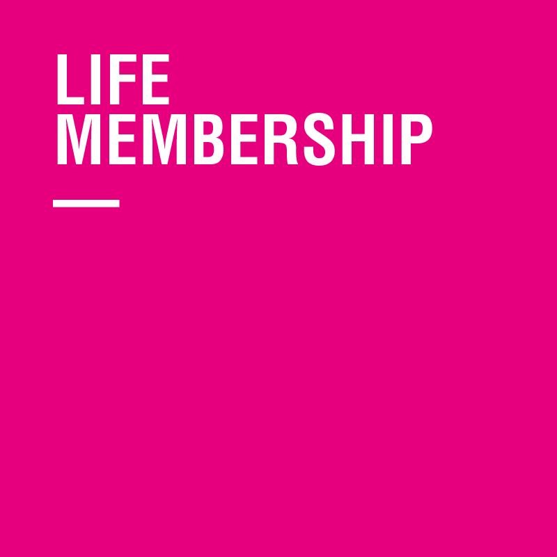 GALLERY MEMBER - LIFE